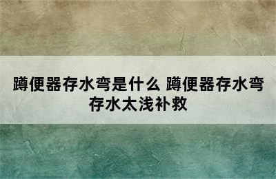 蹲便器存水弯是什么 蹲便器存水弯存水太浅补救